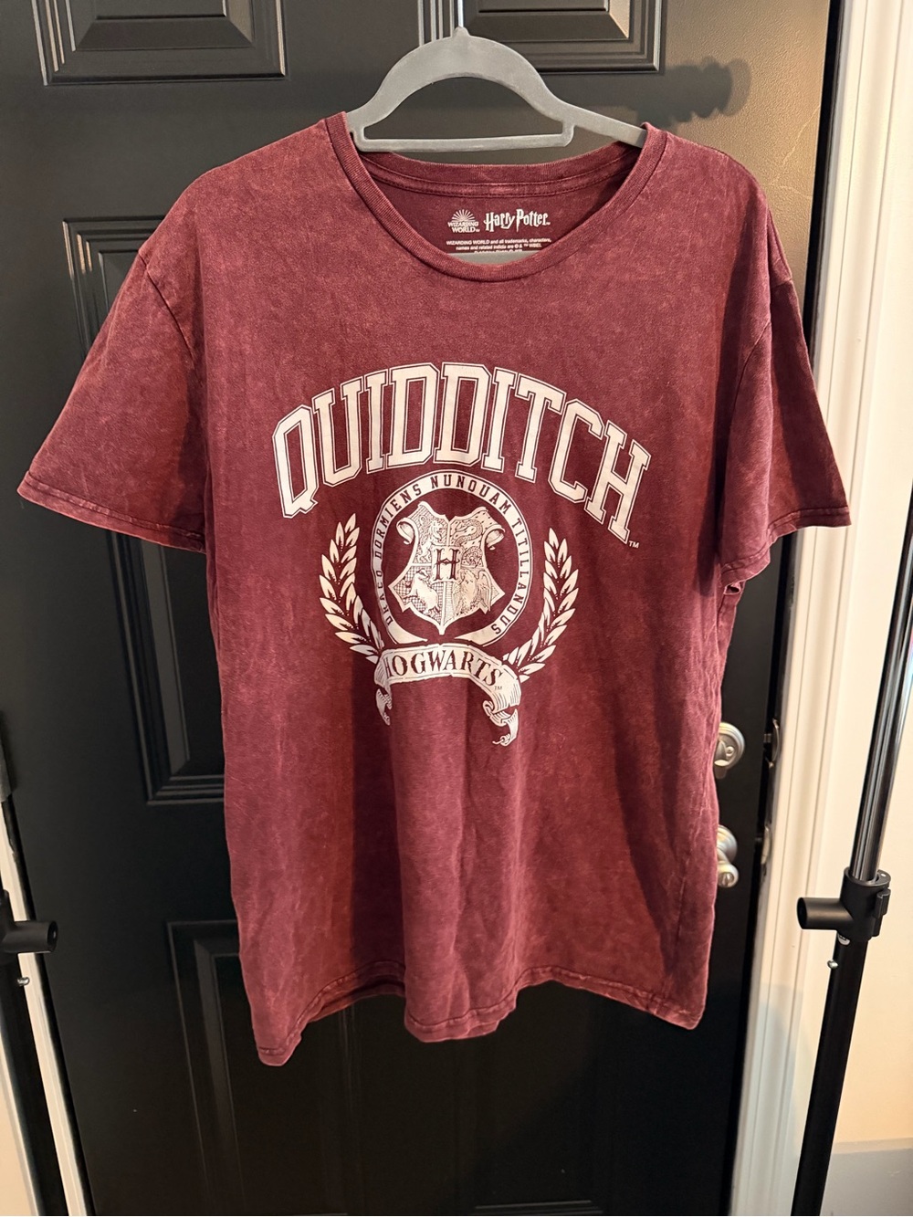 Warner Bros. Hogwarts Quidditch Graphic Tee - Wine